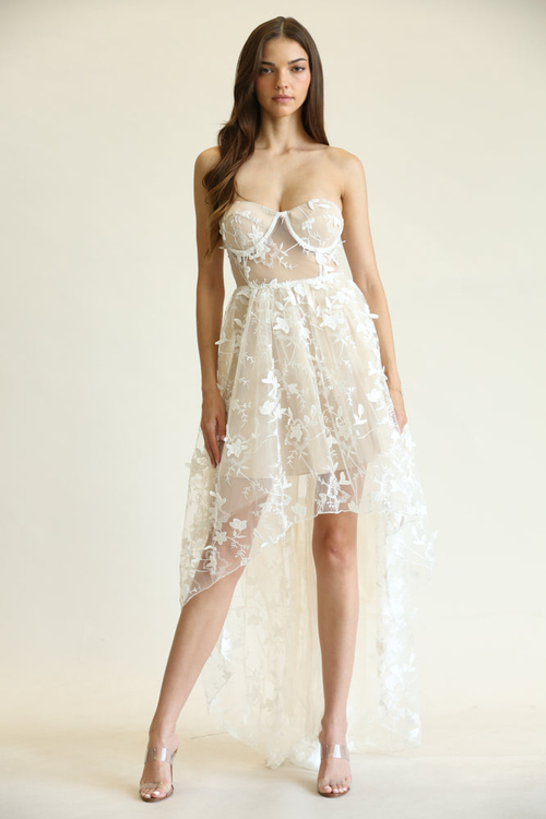 NARELLE- 3D FLORAL EMBROIDERED LACE MINI DRESS